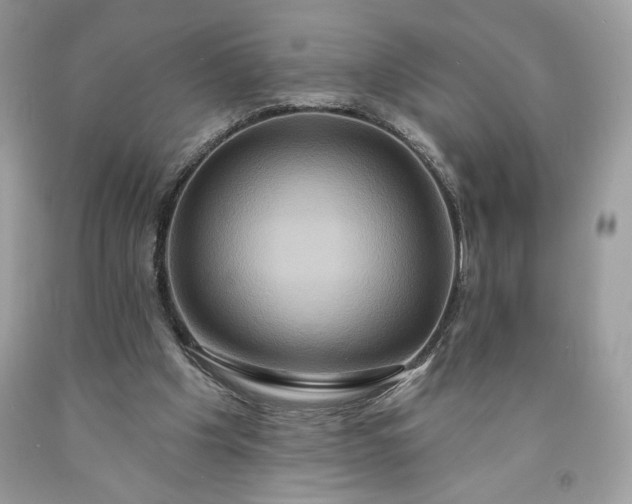X0000091640201200709060945