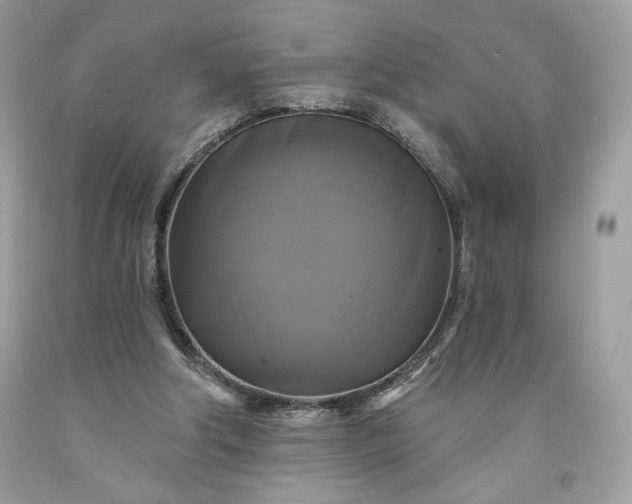 X0000091640202200709060945