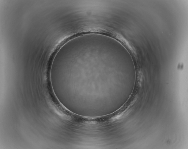 X0000091640203200709060945