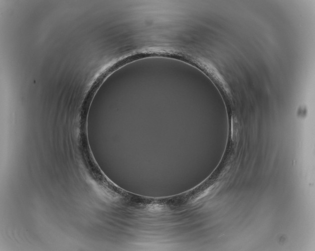 X0000091640204200709060945