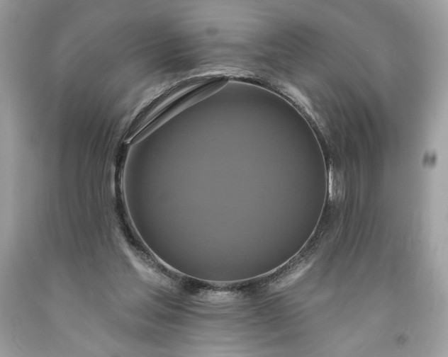 X0000091640205200709060945