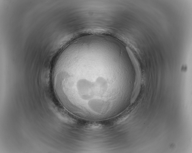X0000091640206200709060945