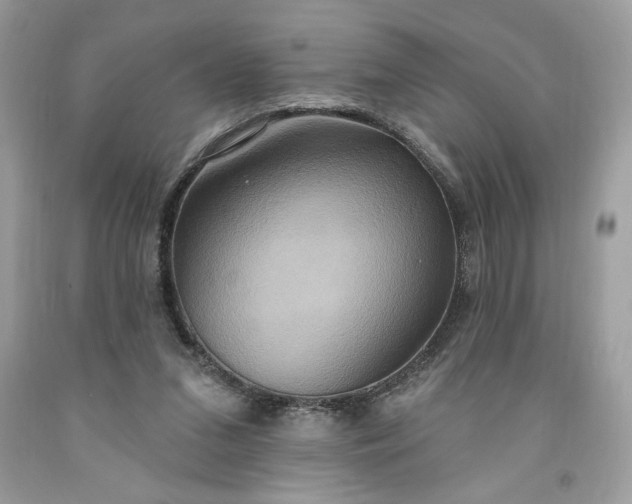 X0000091640207200709060945