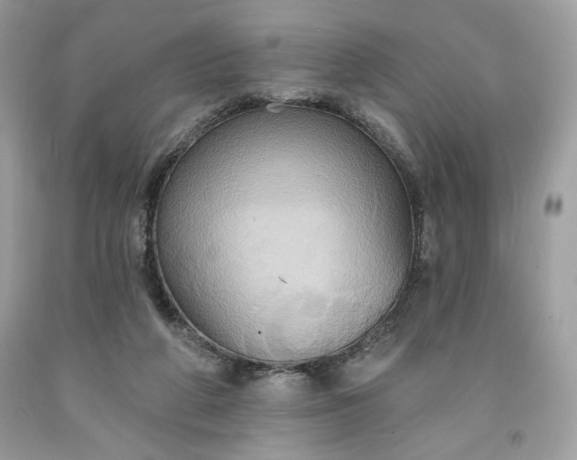 X0000091640210200709060945