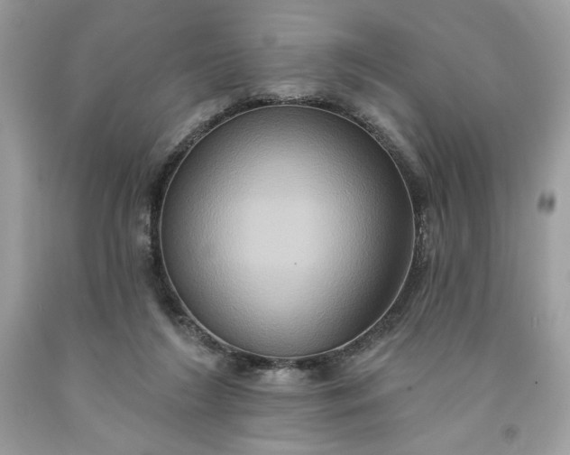 X0000091640212200709060945