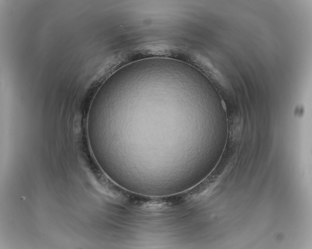 X0000091640213200709060945