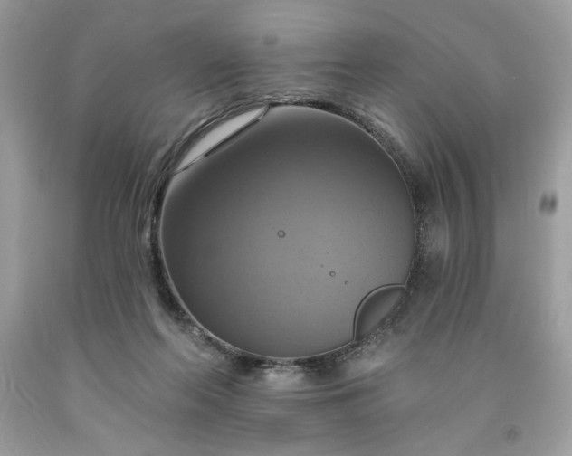 X0000091640214200709060945