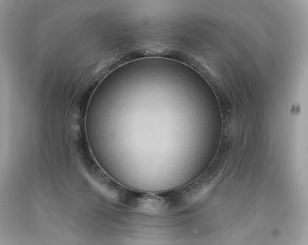 X0000091640215200709060945