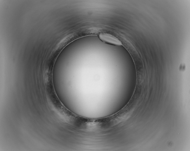 X0000091640216200709060945