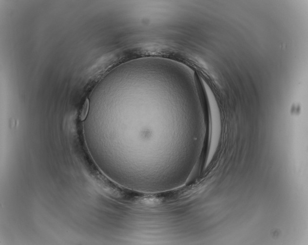 X0000091640217200709060945