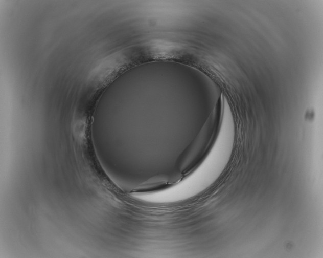 X0000091640219200709060945