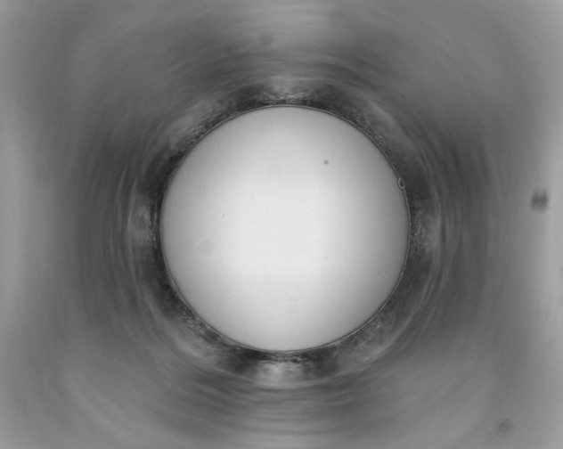 X0000091640220200709060944