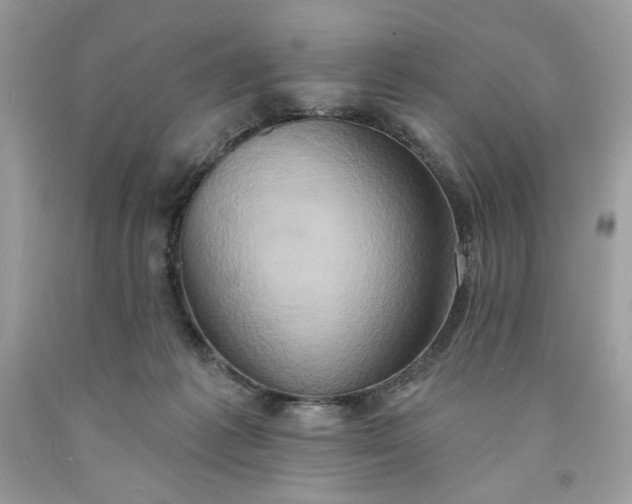 X0000091640221200709060944