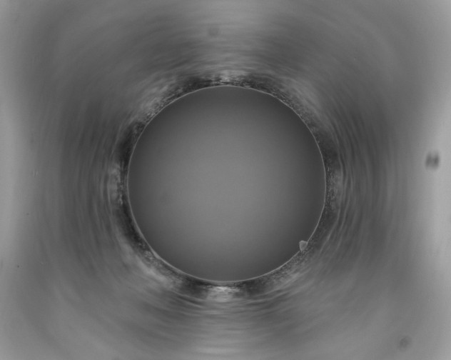 X0000091640222200709060944