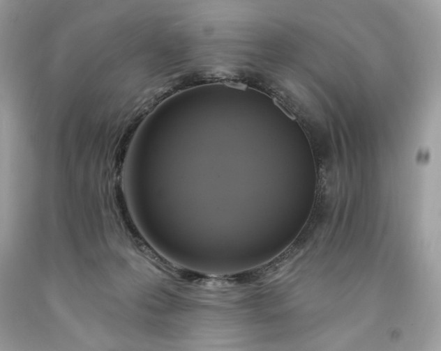 X0000091640223200709060944