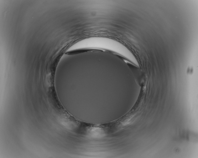 X0000091640224200709060944
