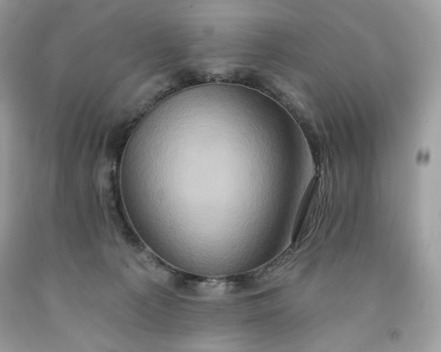 X0000091640225200709060944