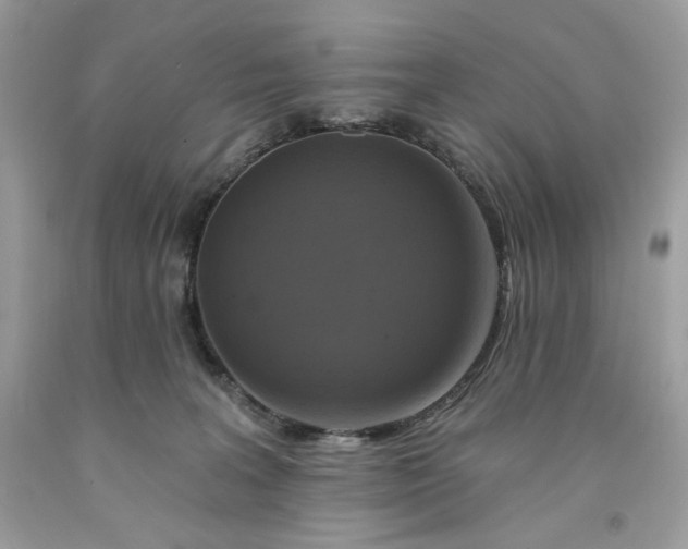 X0000091640227200709060944