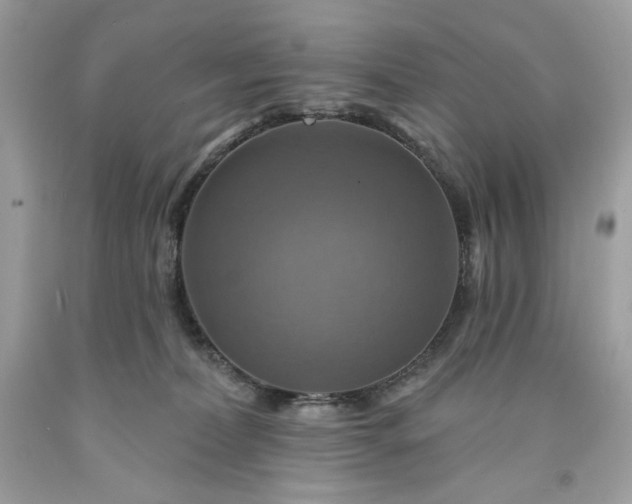 X0000091640228200709060944