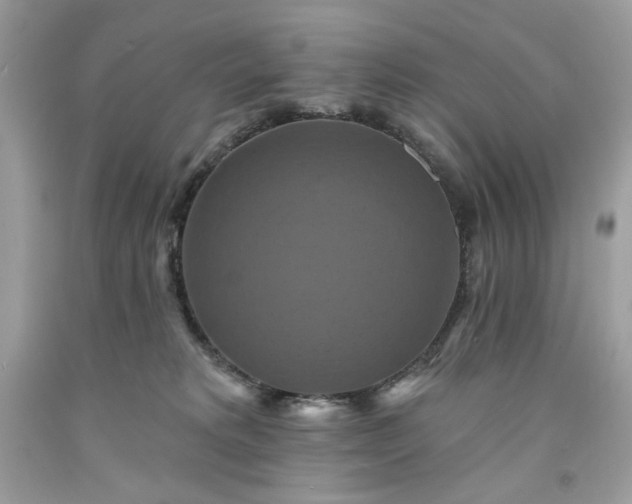 X0000091640229200709060944