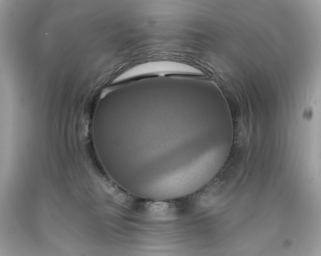 X0000091640230200709060944