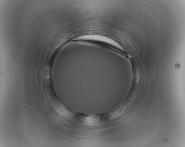 X0000091640232200709060944