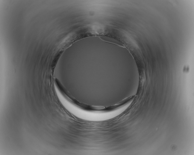 X0000091640233200709060944