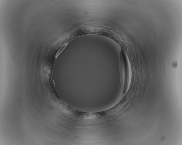 X0000091640235200709060944