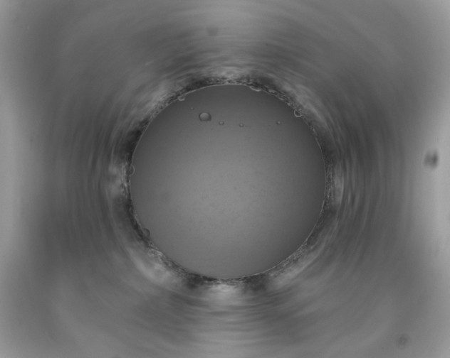 X0000091640236200709060944