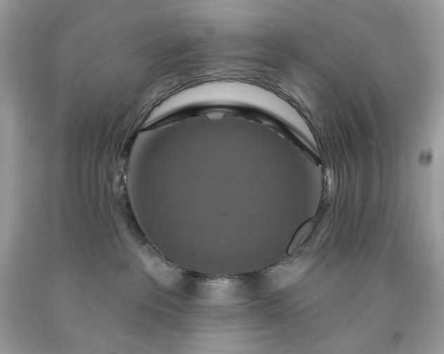 X0000091640237200709060944