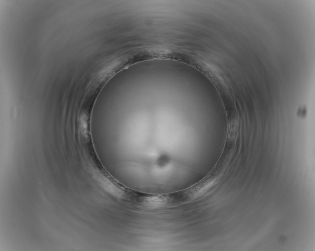 X0000091640238200709060944