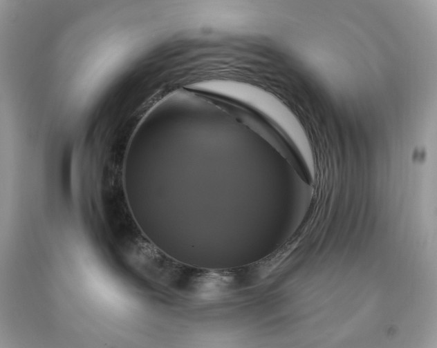 X0000091640239200709060944