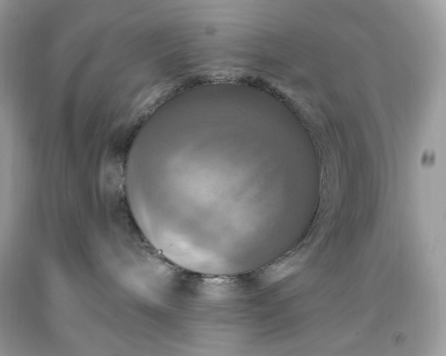 X0000091640240200709060944