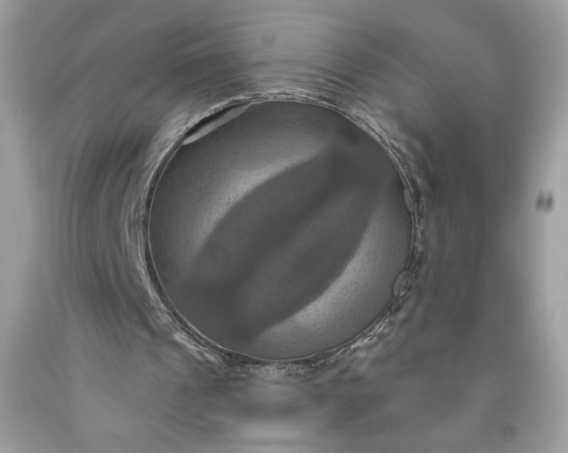 X0000091640241200709060943