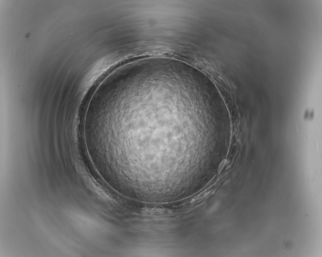 X0000091640242200709060944
