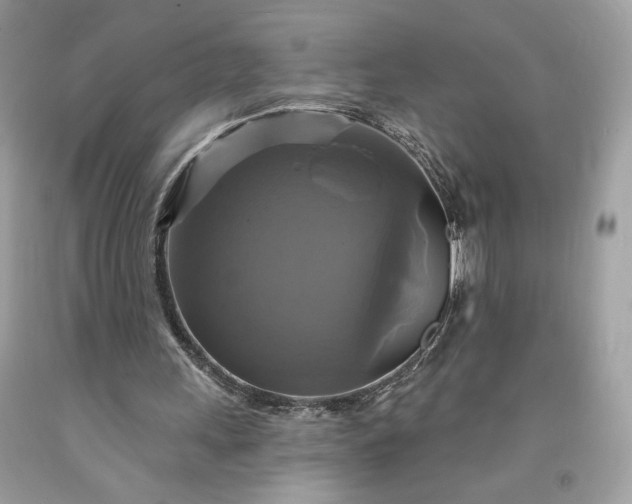 X0000091640243200709060944