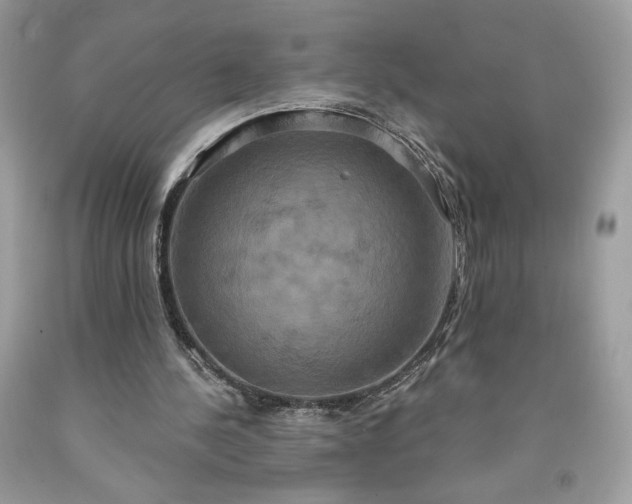 X0000091640244200709060944