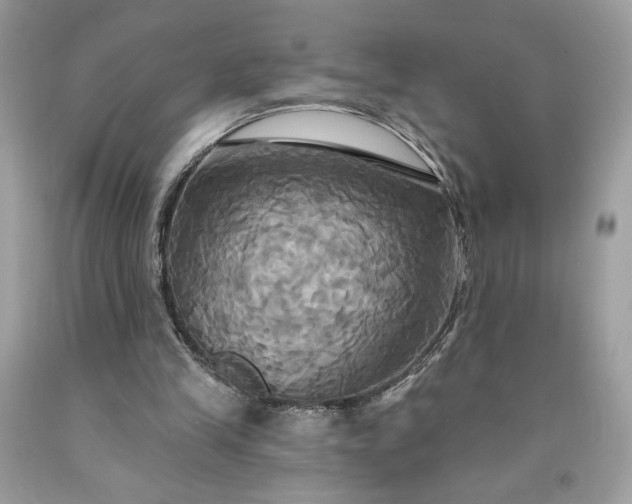 X0000091640245200709060944