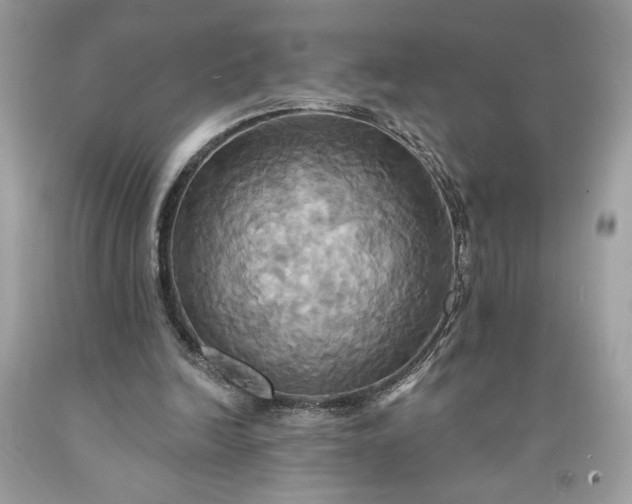 X0000091640246200709060944