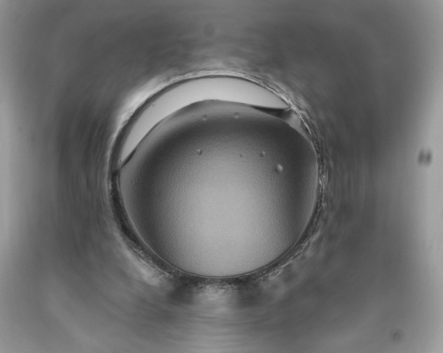 X0000091640248200709060944