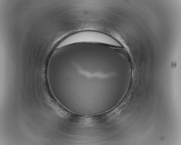 X0000091640249200709060944
