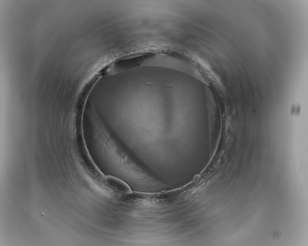 X0000091640250200709060944