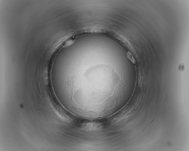 X0000091640251200709060944