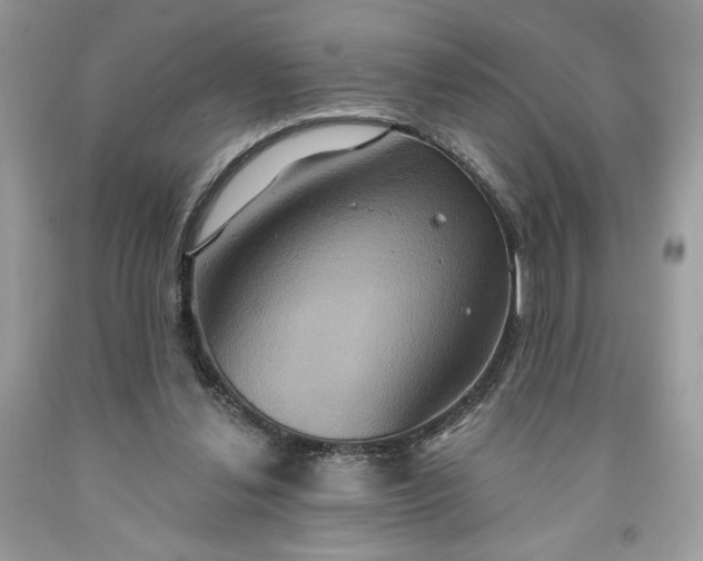X0000091640252200709060944