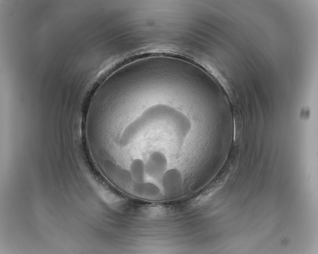 X0000091640253200709060944