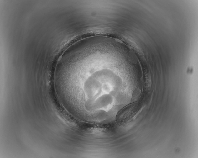 X0000091640255200709060944