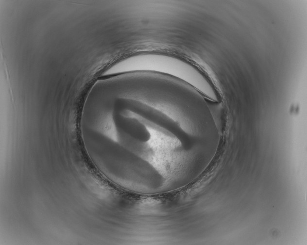 X0000091640257200709060944