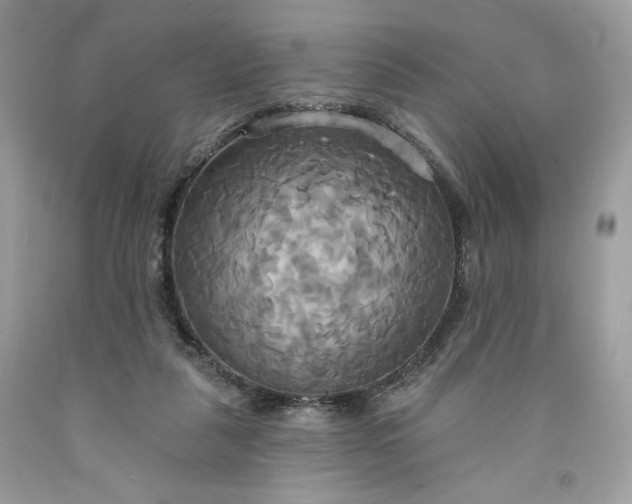 X0000091640259200709060944
