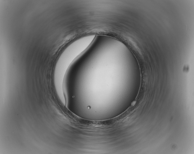 X0000091640260200709060944