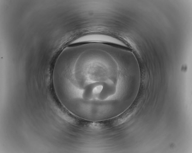X0000091640261200709060944